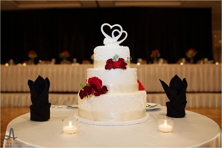 Hilton Frontenac Wedding Ladue Chapel Wedding Photography St Louis Wedding Photographer Angie Menos_0038