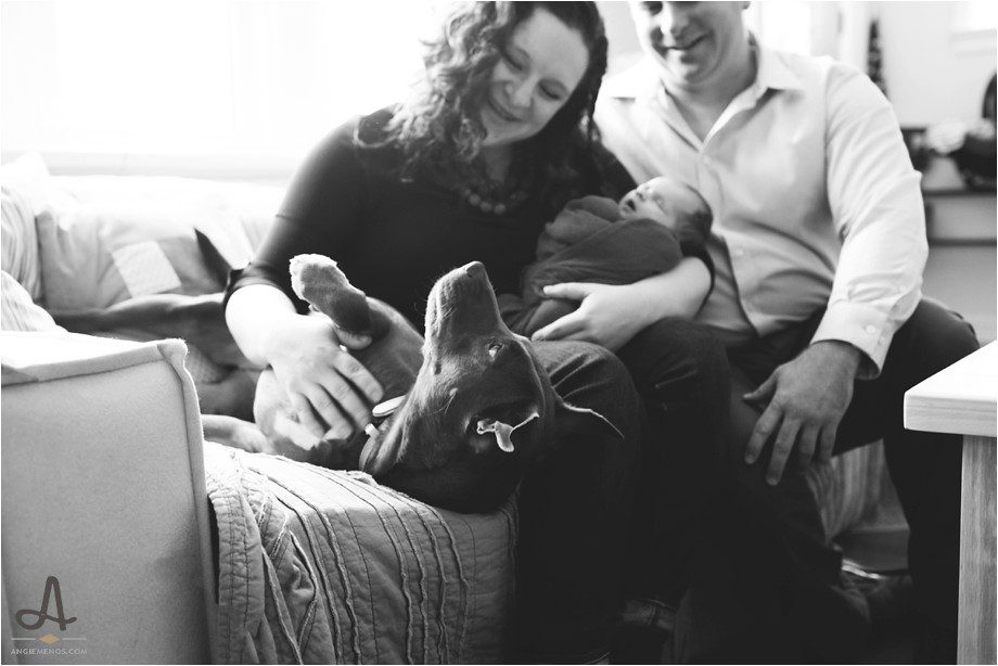 newborn lifestyle session st louis missouri in home family photography angie menos_0005