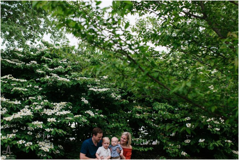 kirkwood-family-photographer-st-louis-mo