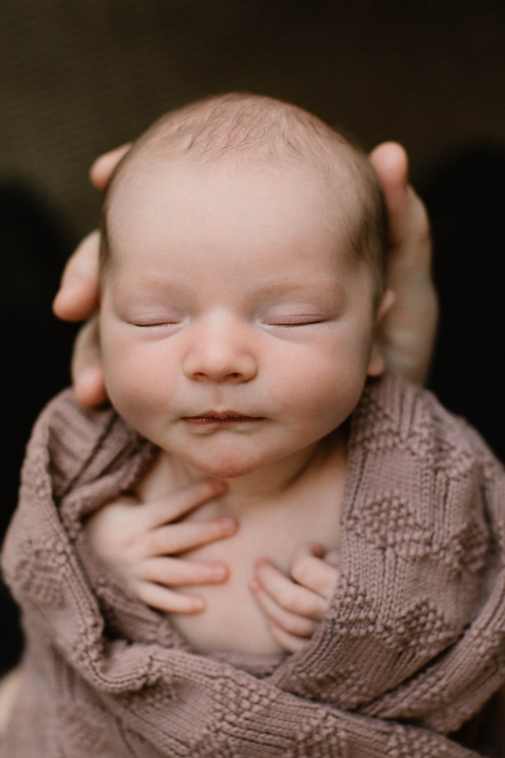 st louis newborn photographer 16